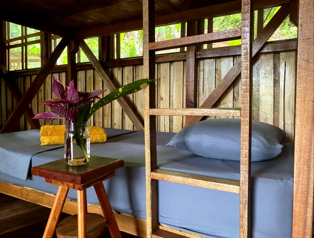 Painting in Paradise - Pina (Shared Room, no A/C)