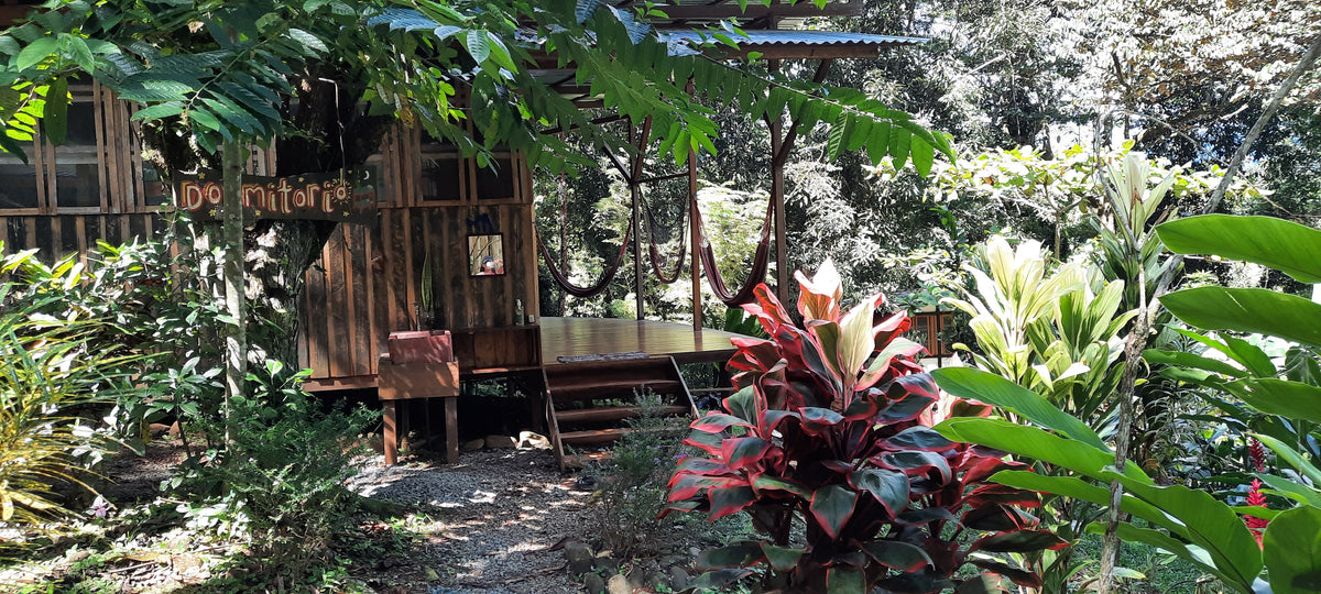 Cabina Piña BunkHouse - CR Retreat