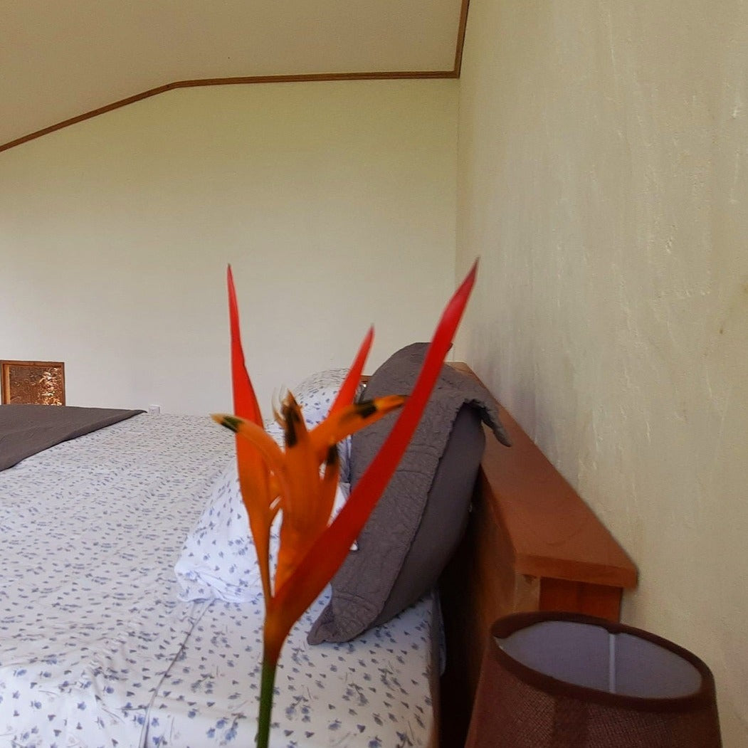 Pava Shared Suite - CR Retreat