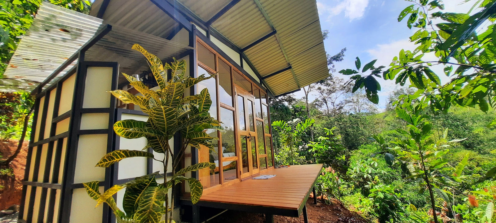 Painting in Paradise - Private Cabin A/C (Cielo, Puma, Pantera, Pava)