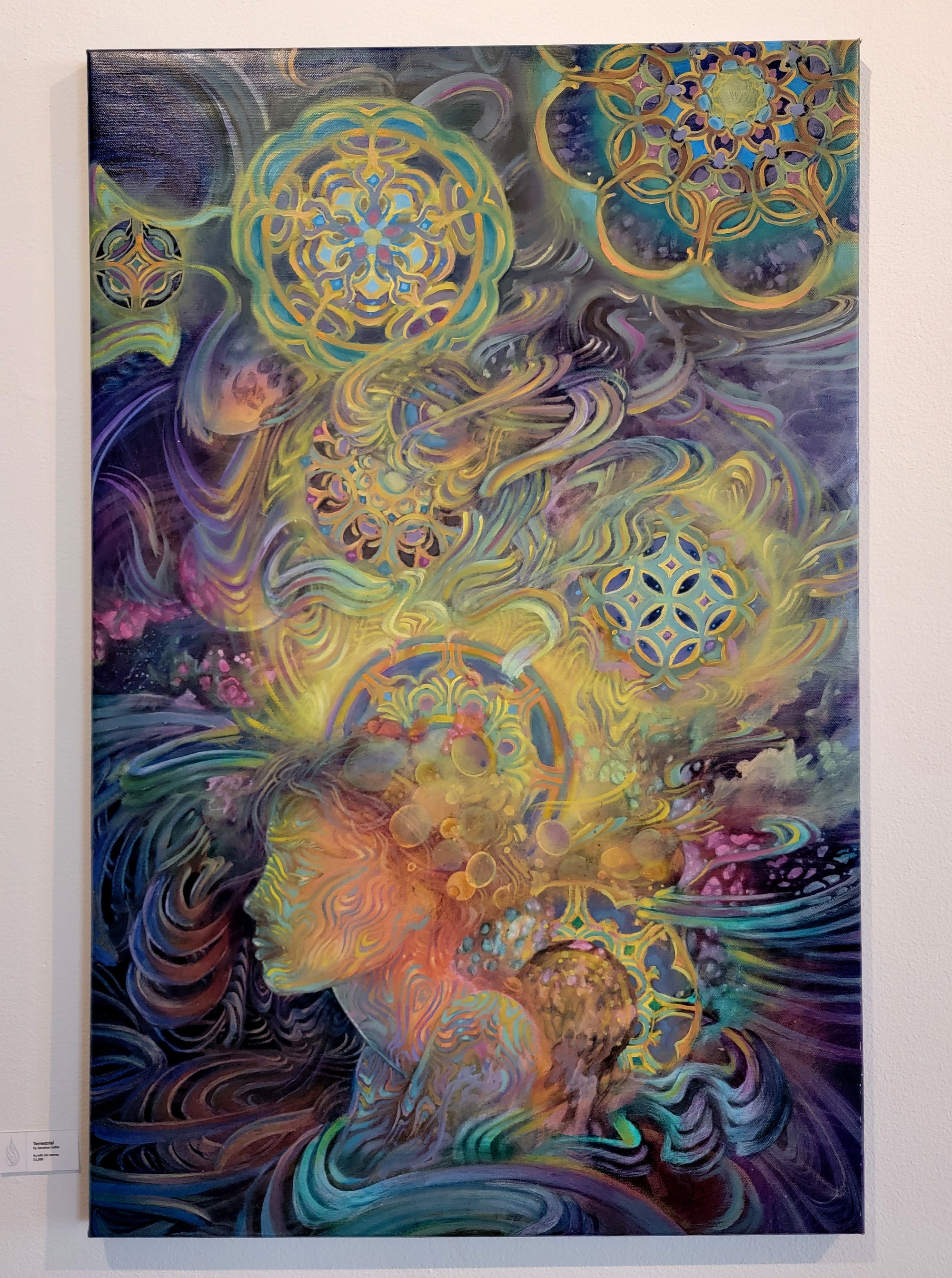 Terrestrial Tapestry Original Painting by Jonathan Solter