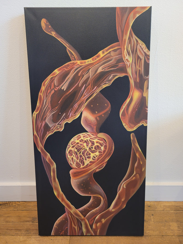 Lumos II by Sofi Rami