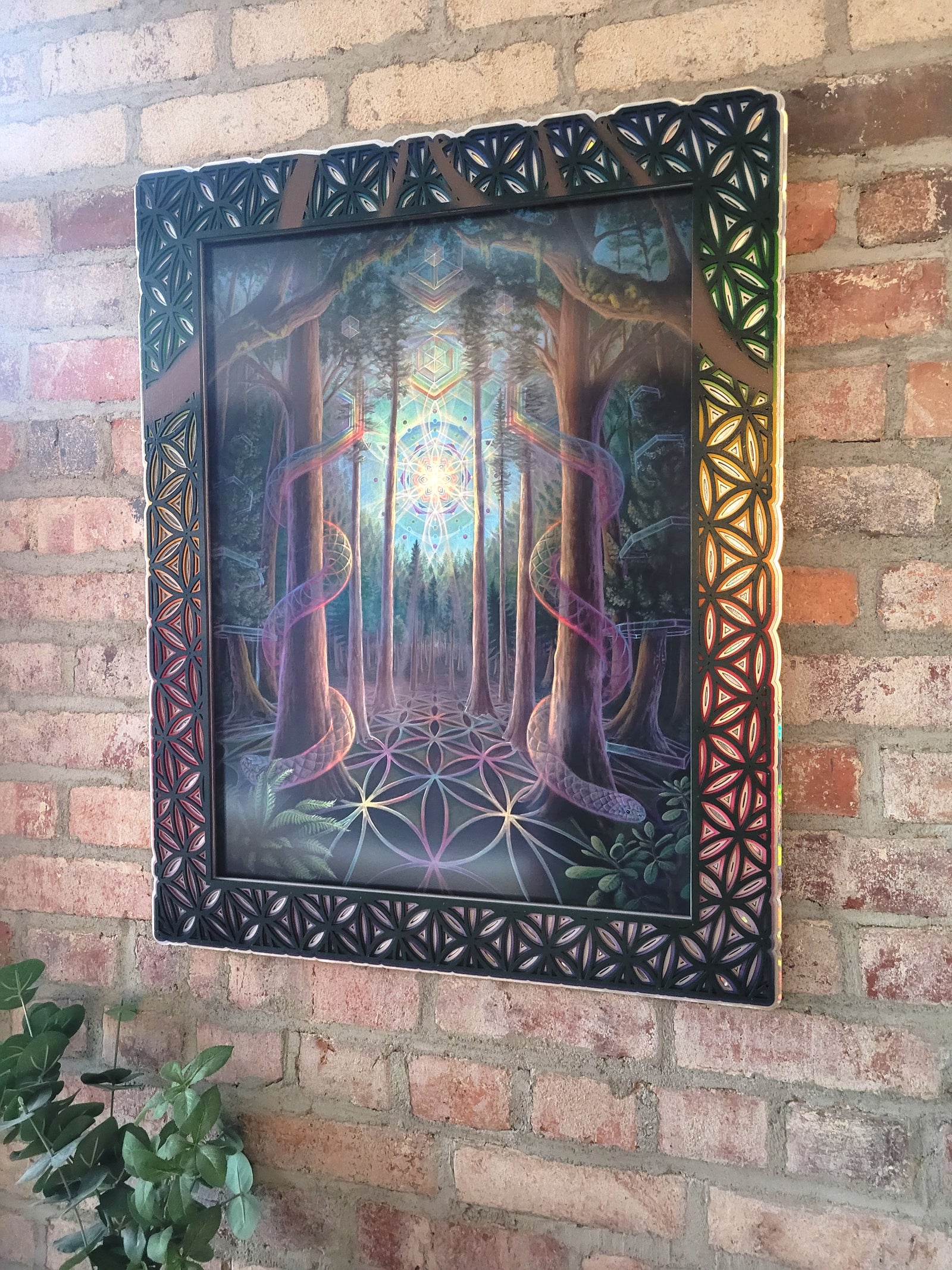 Through the Trees Lasercut Framed Print by Morgan Mandala x Deadfish Studios