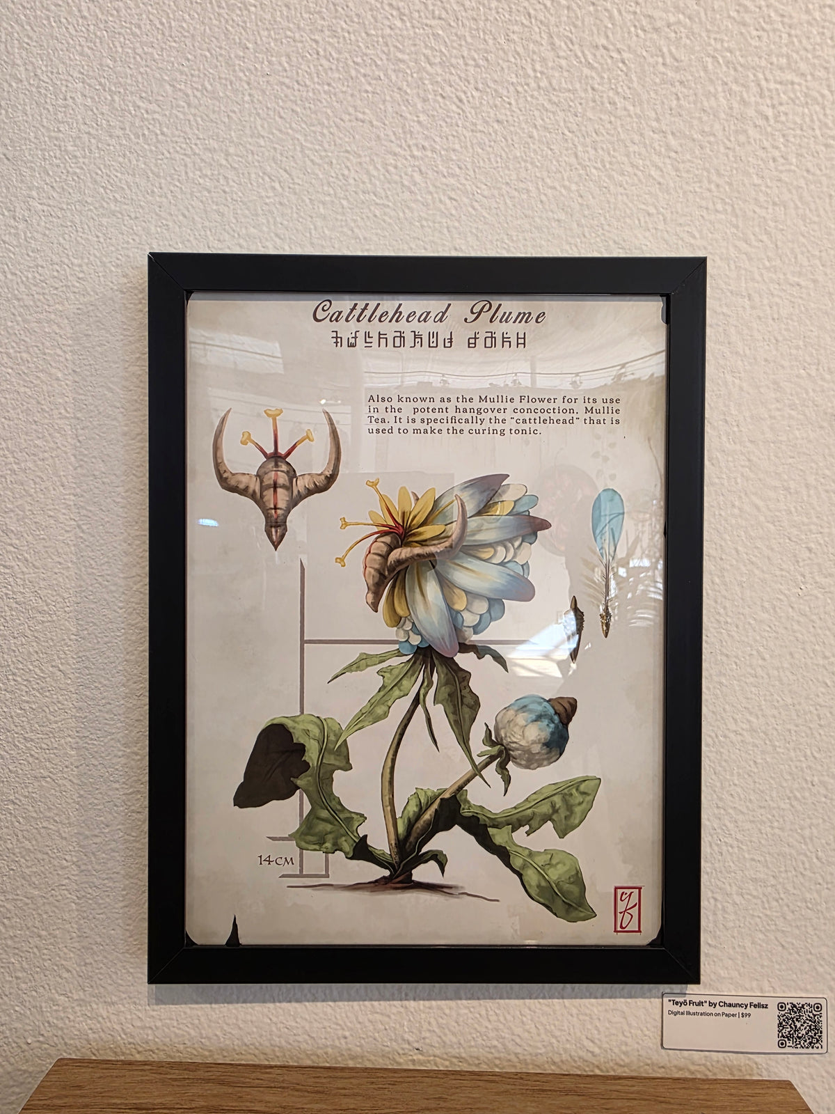 Cattlehead Plume Original Illustration by Chauncy Felisz