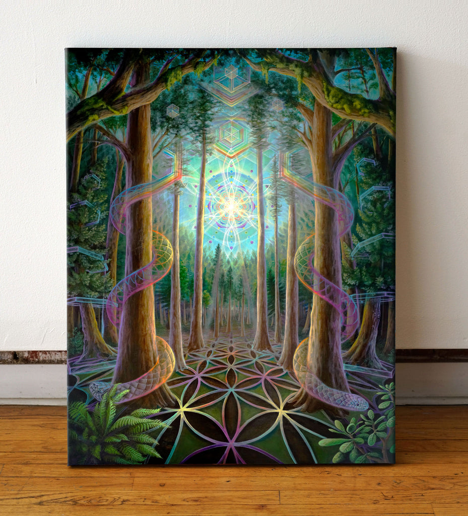 Thru The Trees Canvas by Morgan Mandala