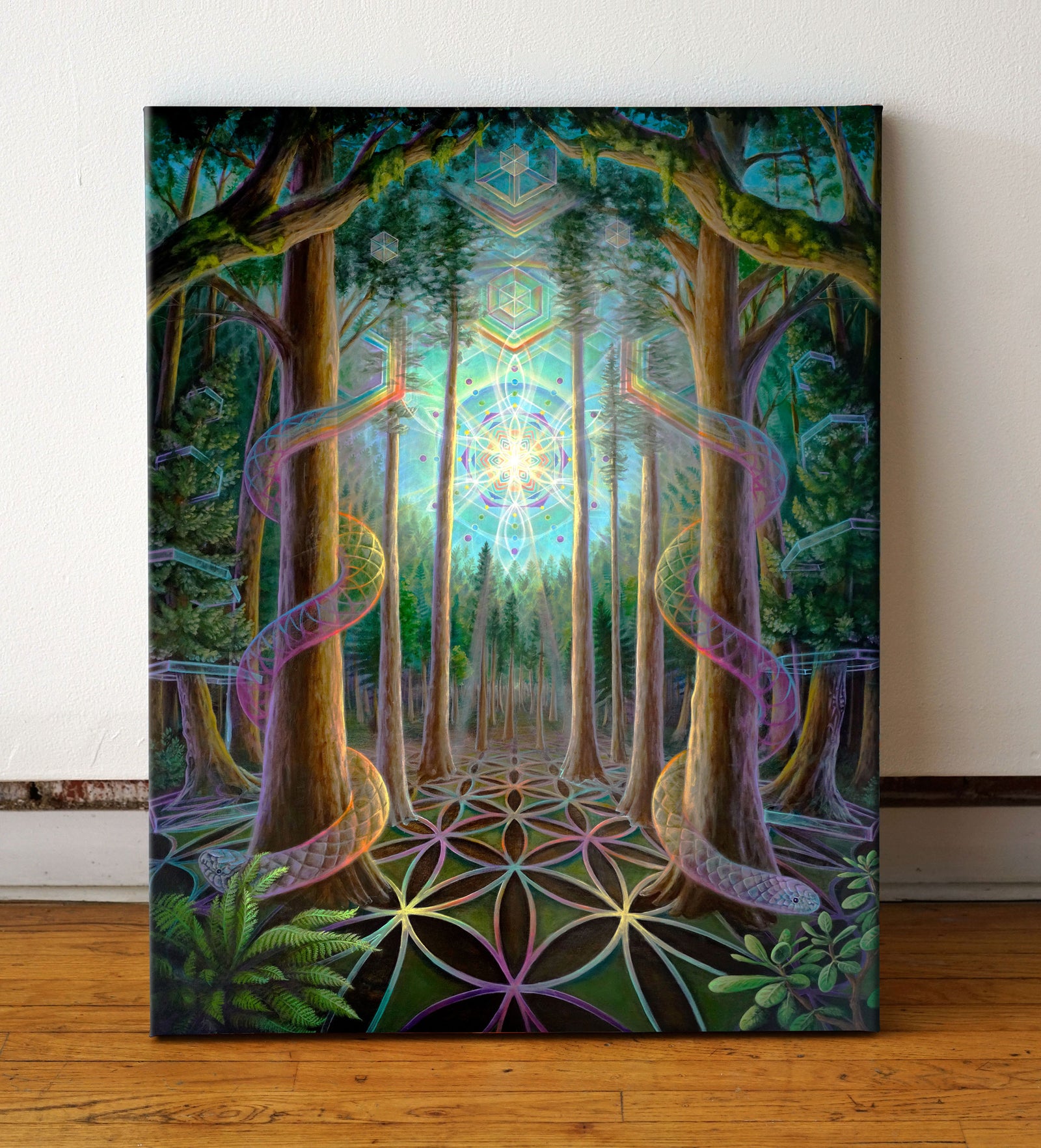 Thru The Trees Canvas by Morgan Mandala