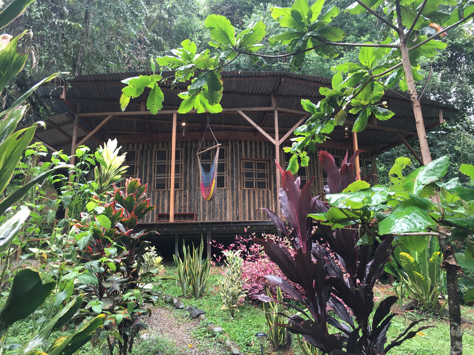 Painting in Paradise - Pina (Shared Room, no A/C)