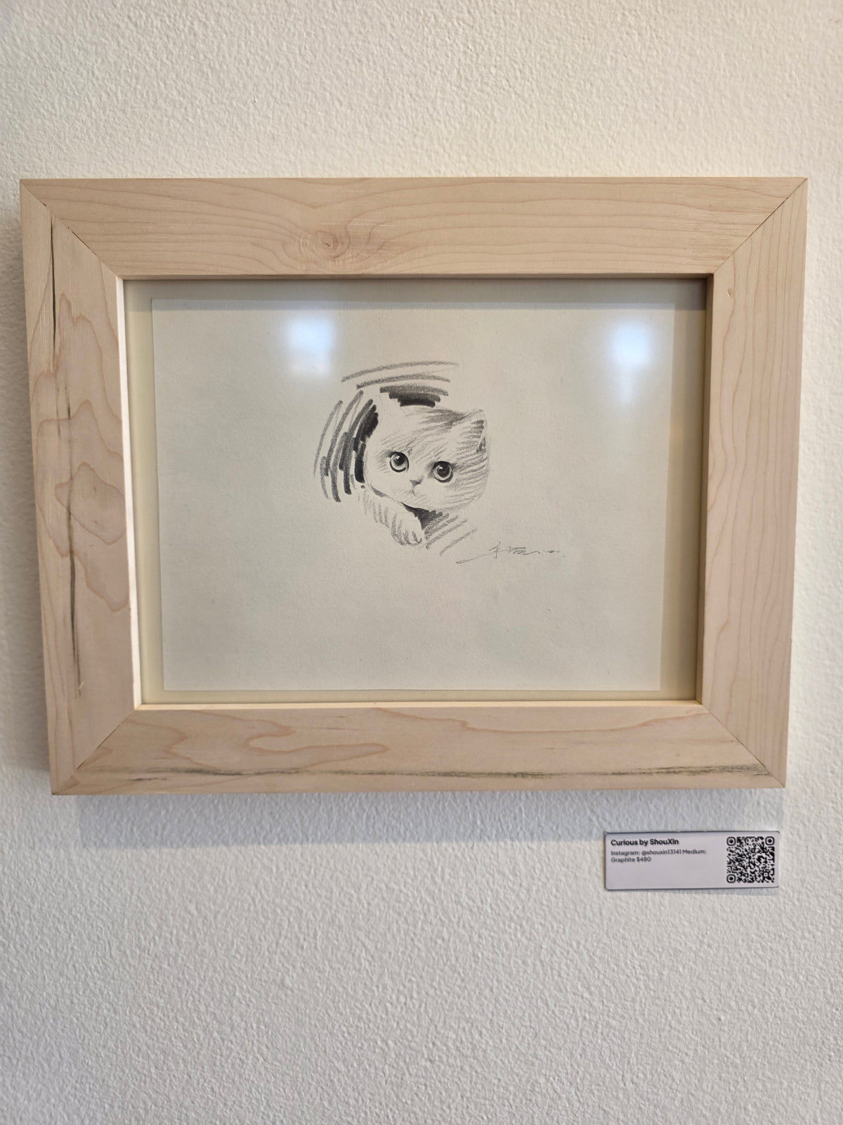 Curious Kitten by ShouXin