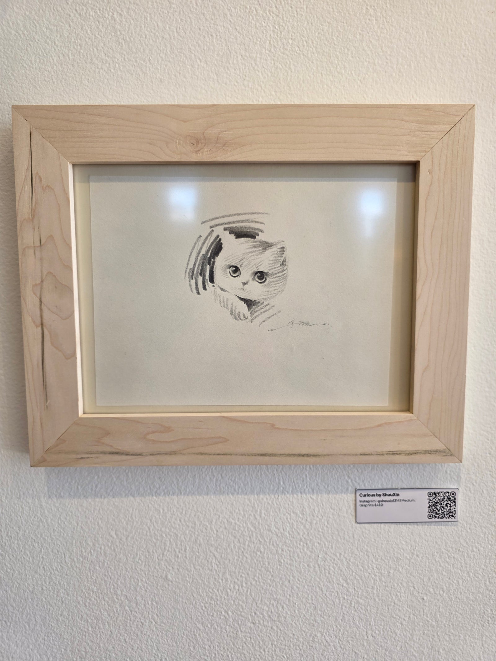 Curious Kitten by ShouXin