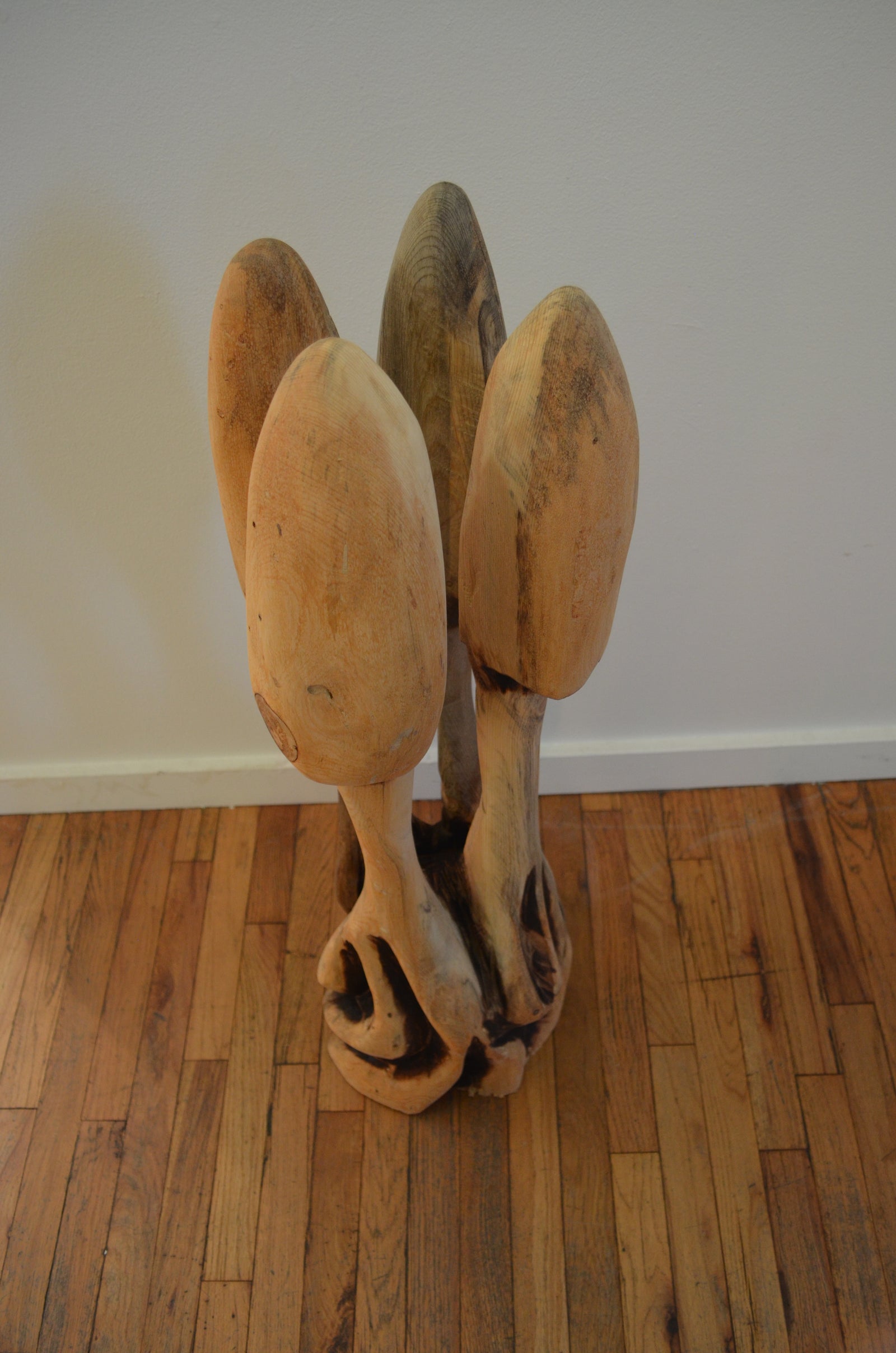 Mushroom 4 by Clinton Reynolds