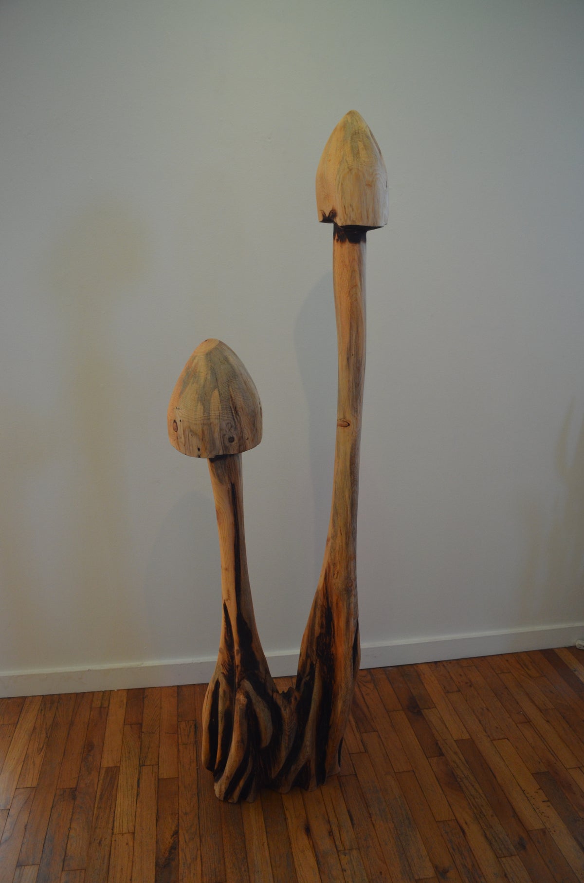 Mushroom 1 by Clinton Reynolds