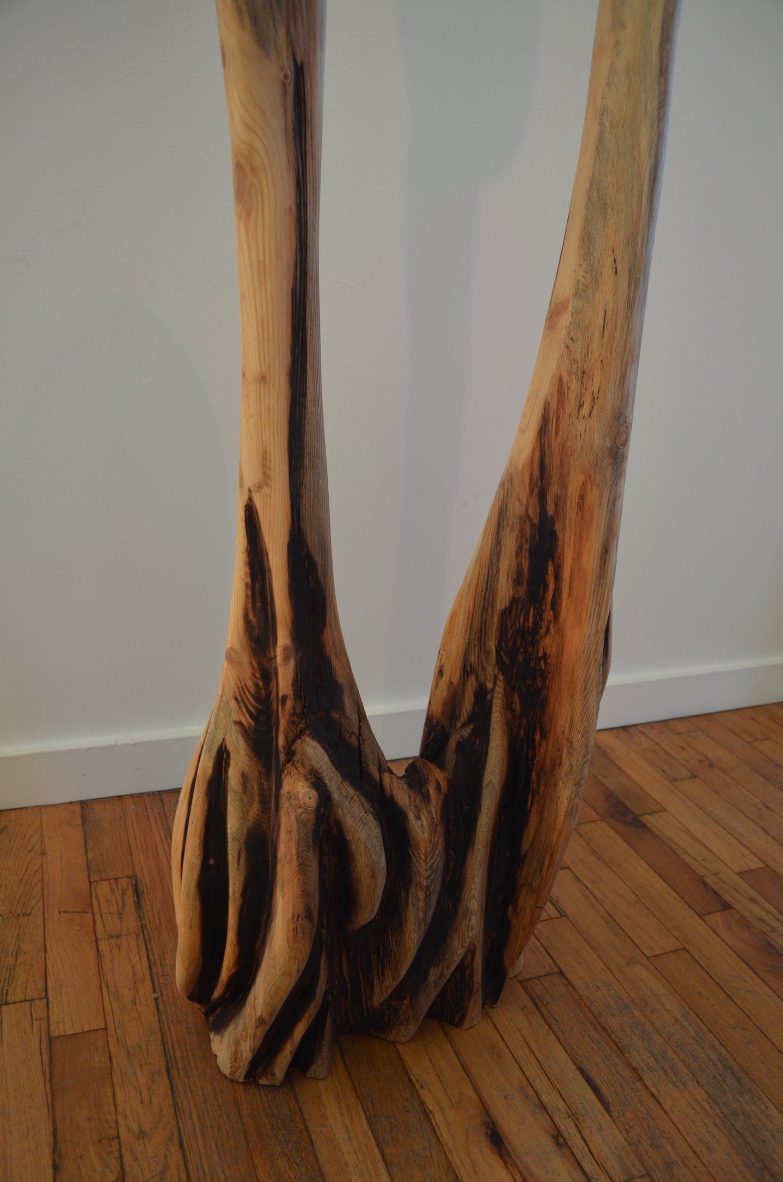 Mushroom 1 by Clinton Reynolds