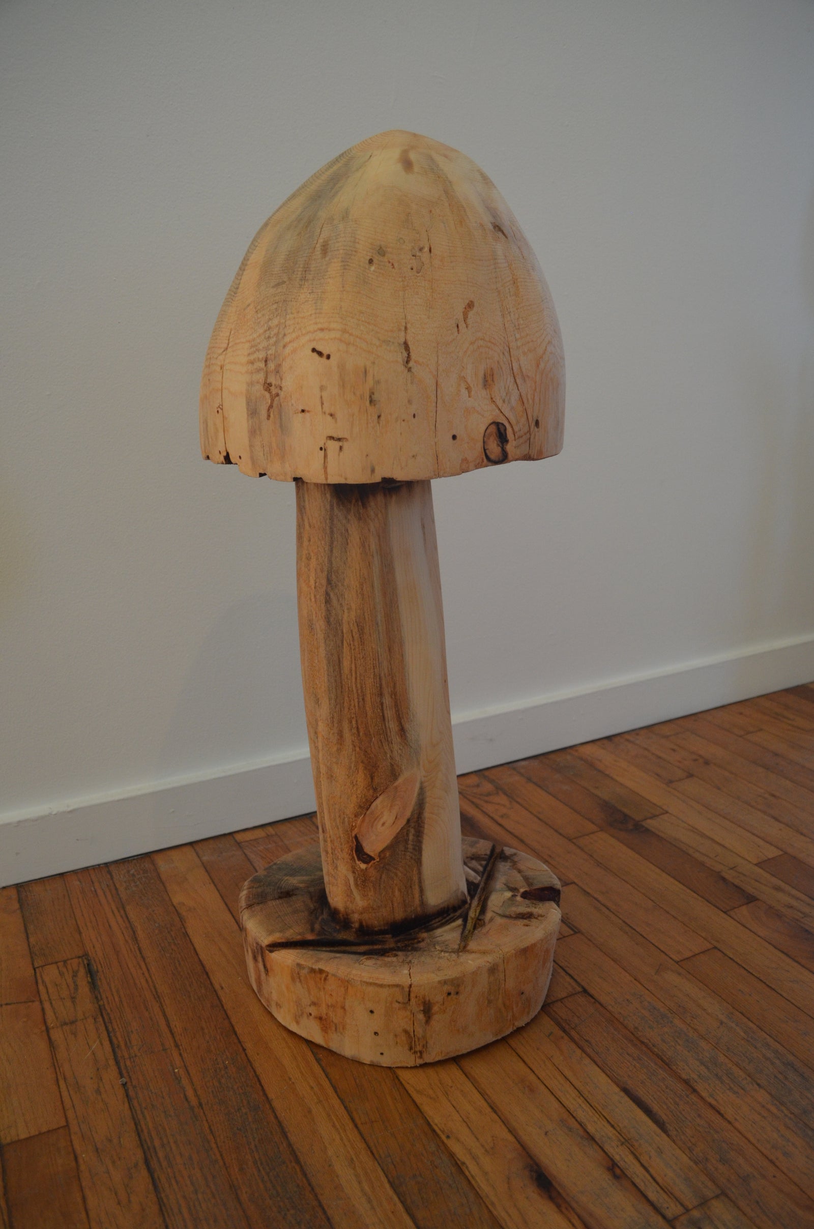 Mushroom 3 by Clinton Reynolds