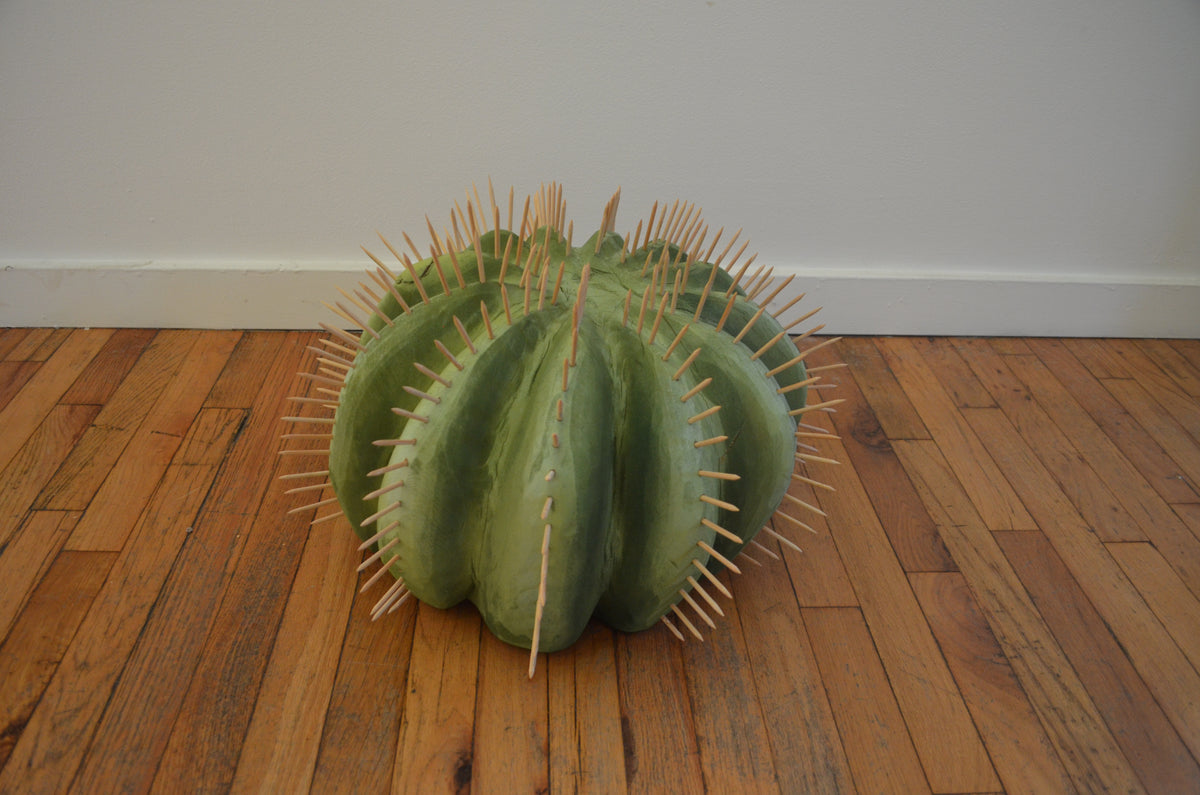 Cactus by Clinton Reynolds