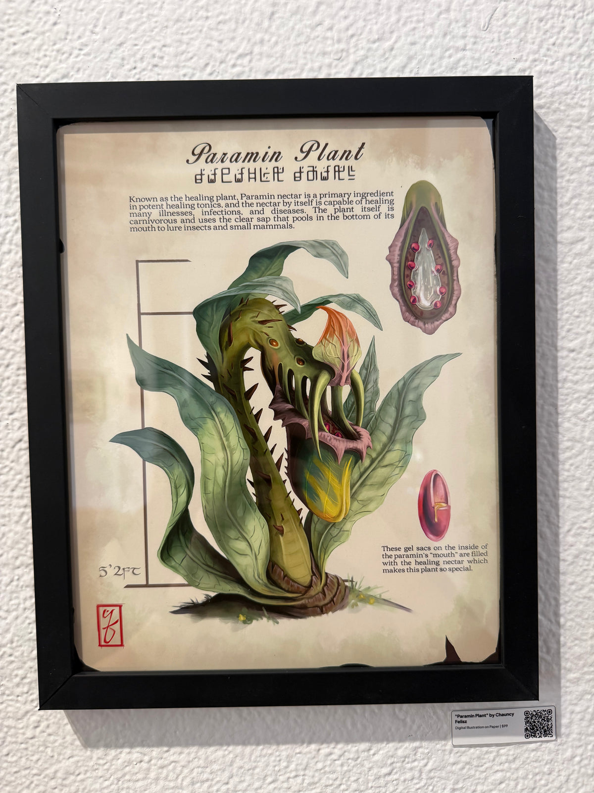 Paramin Plant Original Illustration by Chauncy Felisz