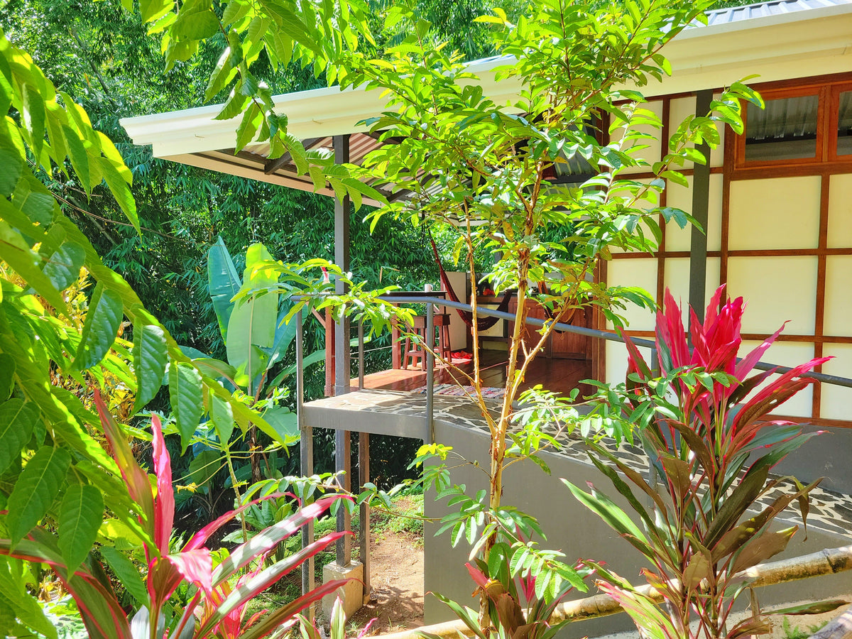 Pantera Shared Suite - CR Retreat