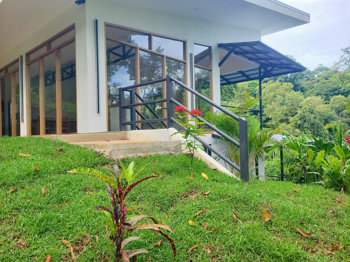 Painting in Paradise - Chacruna (Shared Room, A/C)