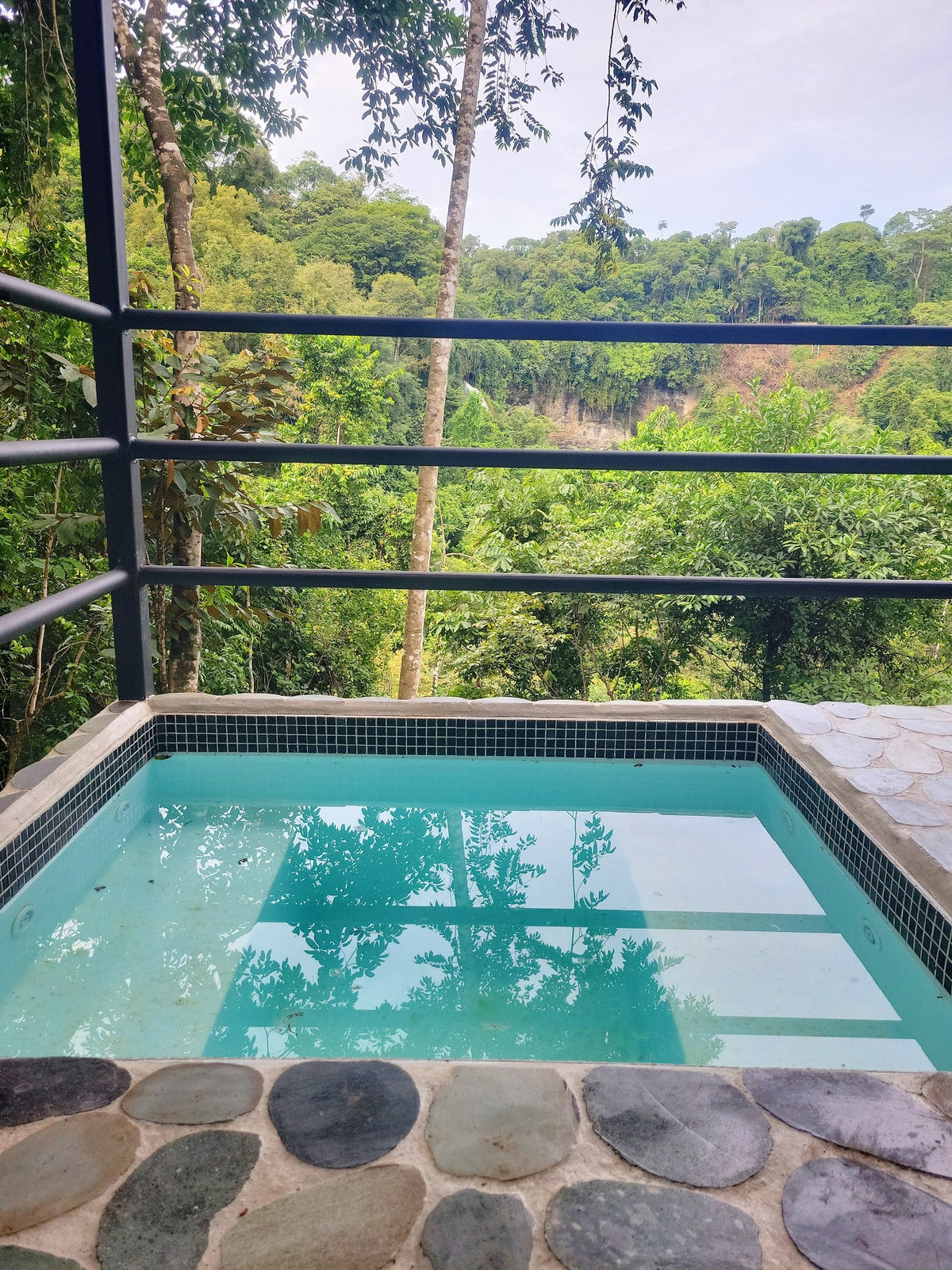 Painting in Paradise - Chacruna (Shared Room, A/C)