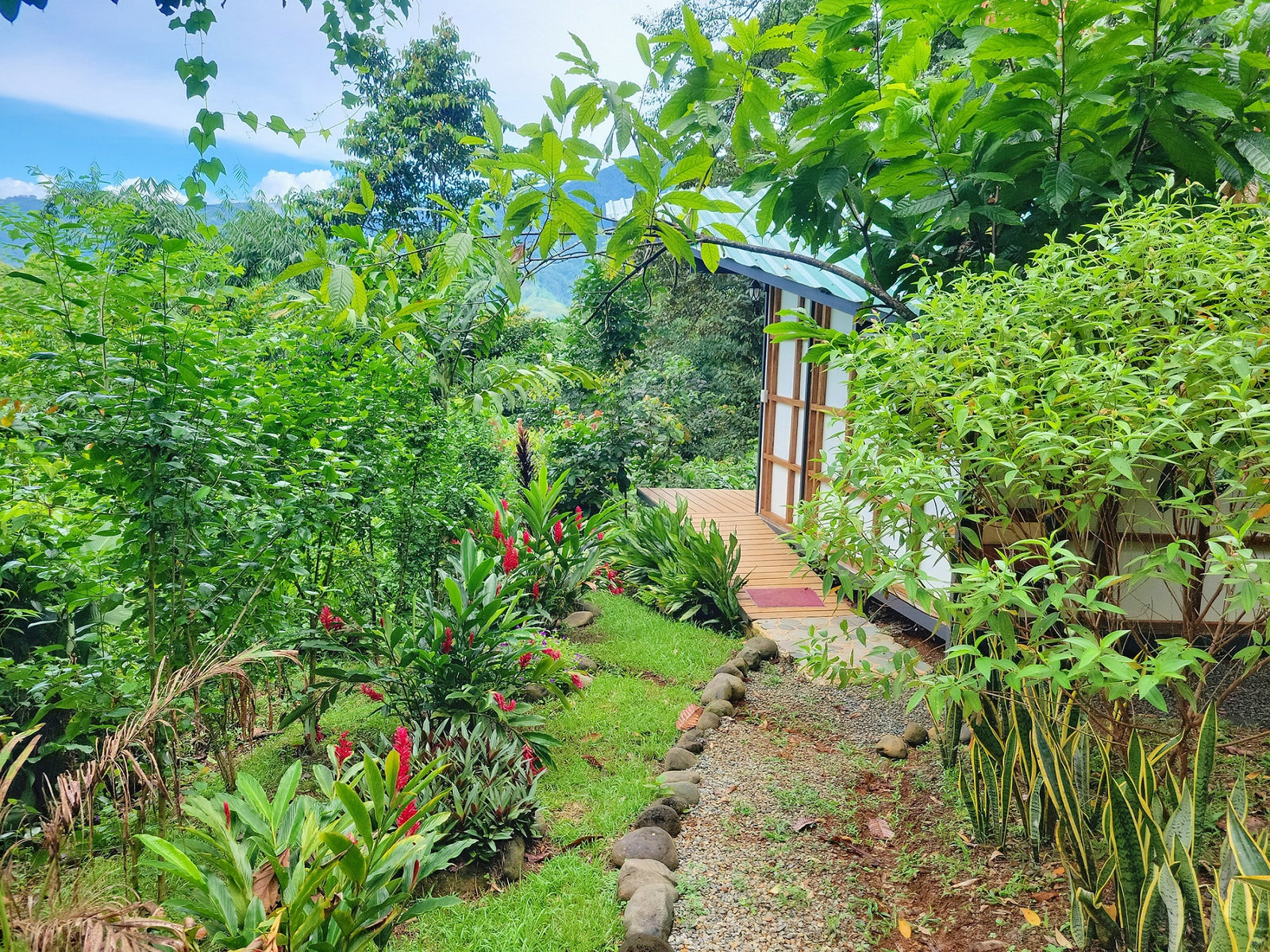 Painting in Paradise - Private Cabin A/C (Cielo, Puma, Pantera, Pava)