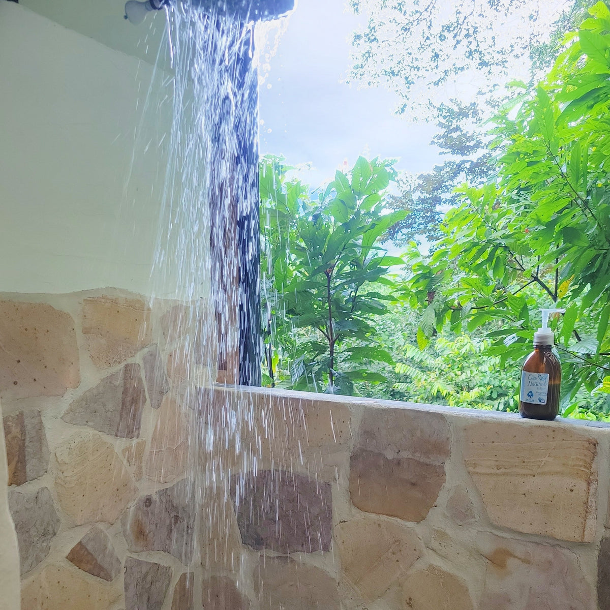 Pava Shared Suite - CR Retreat