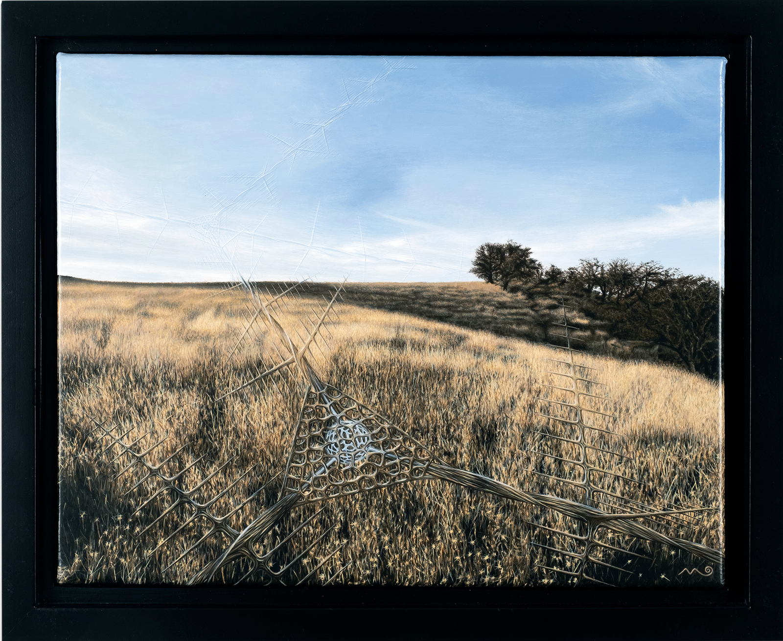 Signals by Micah Ofstedahl