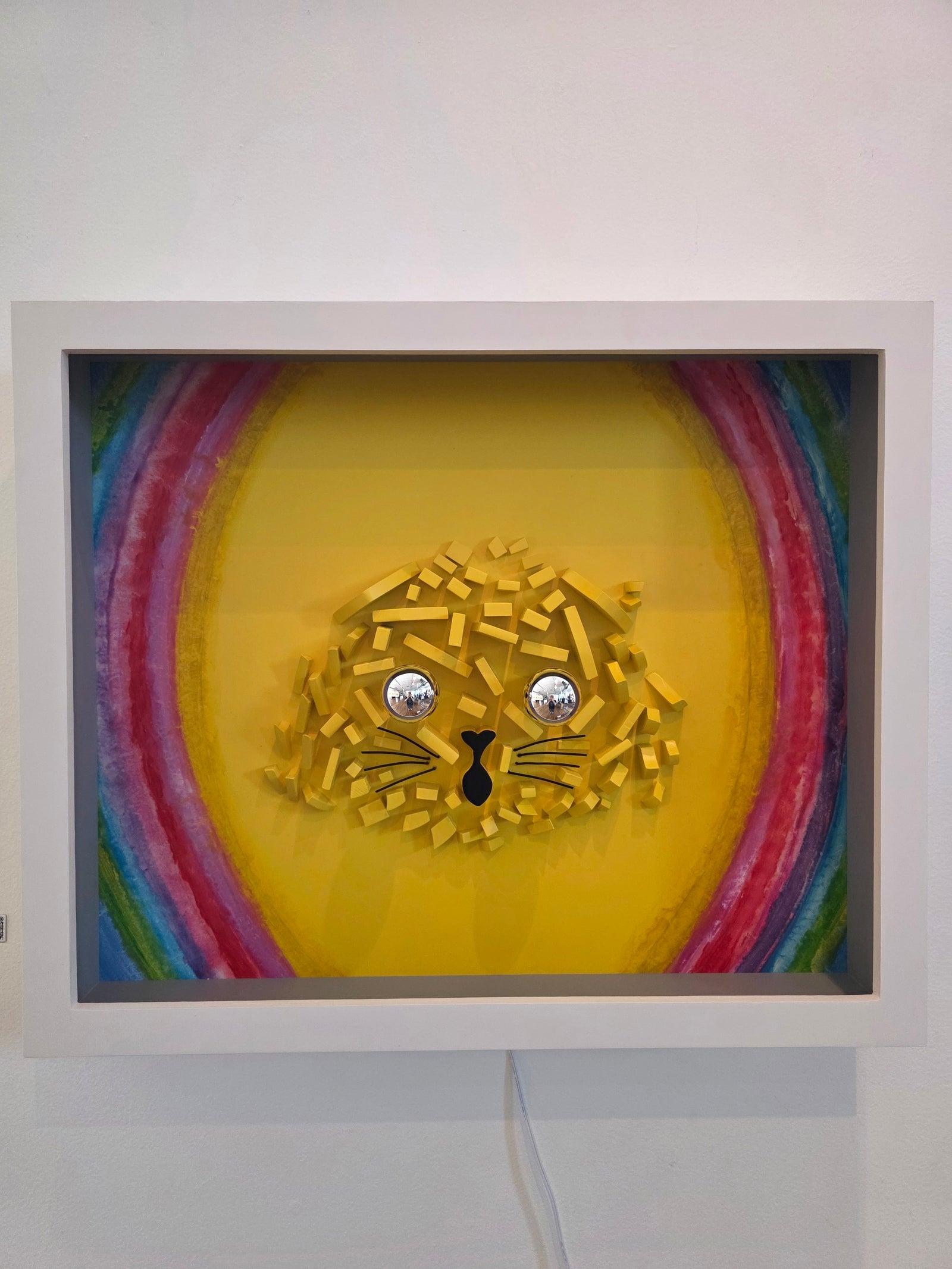 Wainbow Cat by João Paulo Gonçalves