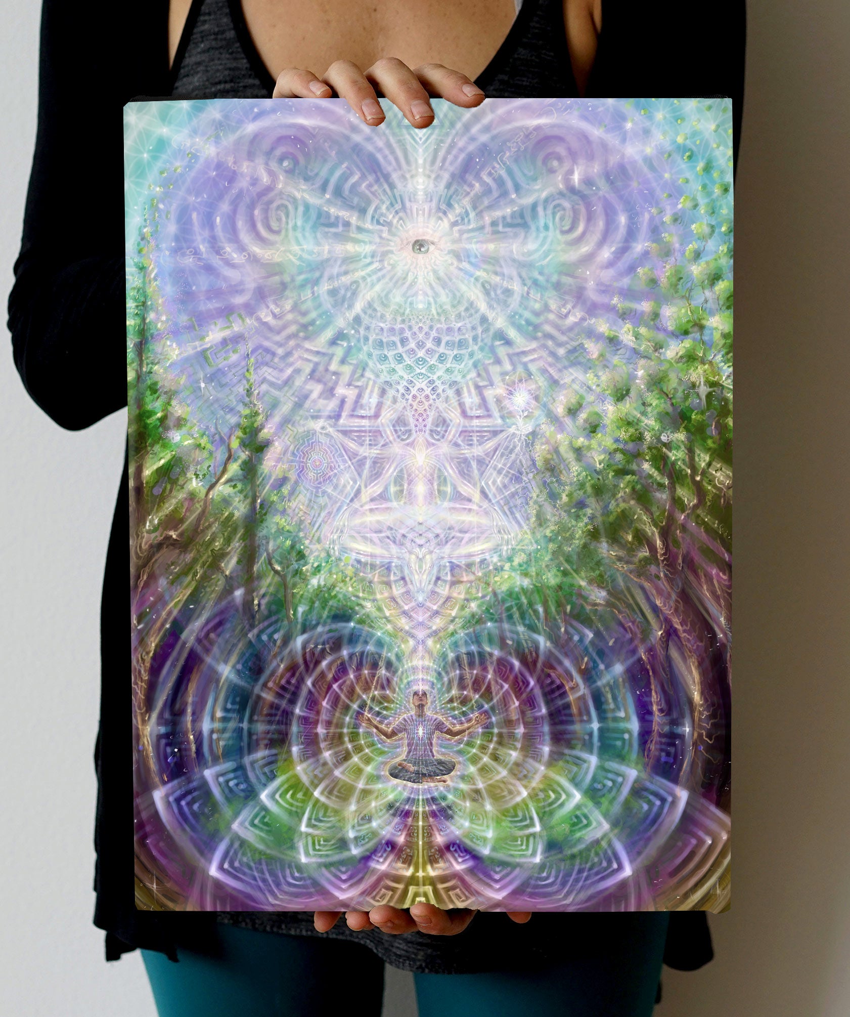 Higher Realms Stretched Canvas by Bradley Snook
