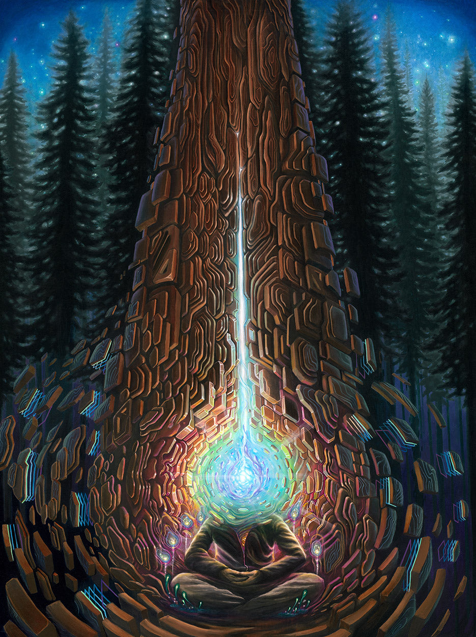 Closer To The Core Stretched Canvas by Blake Foster x Sean Zenner