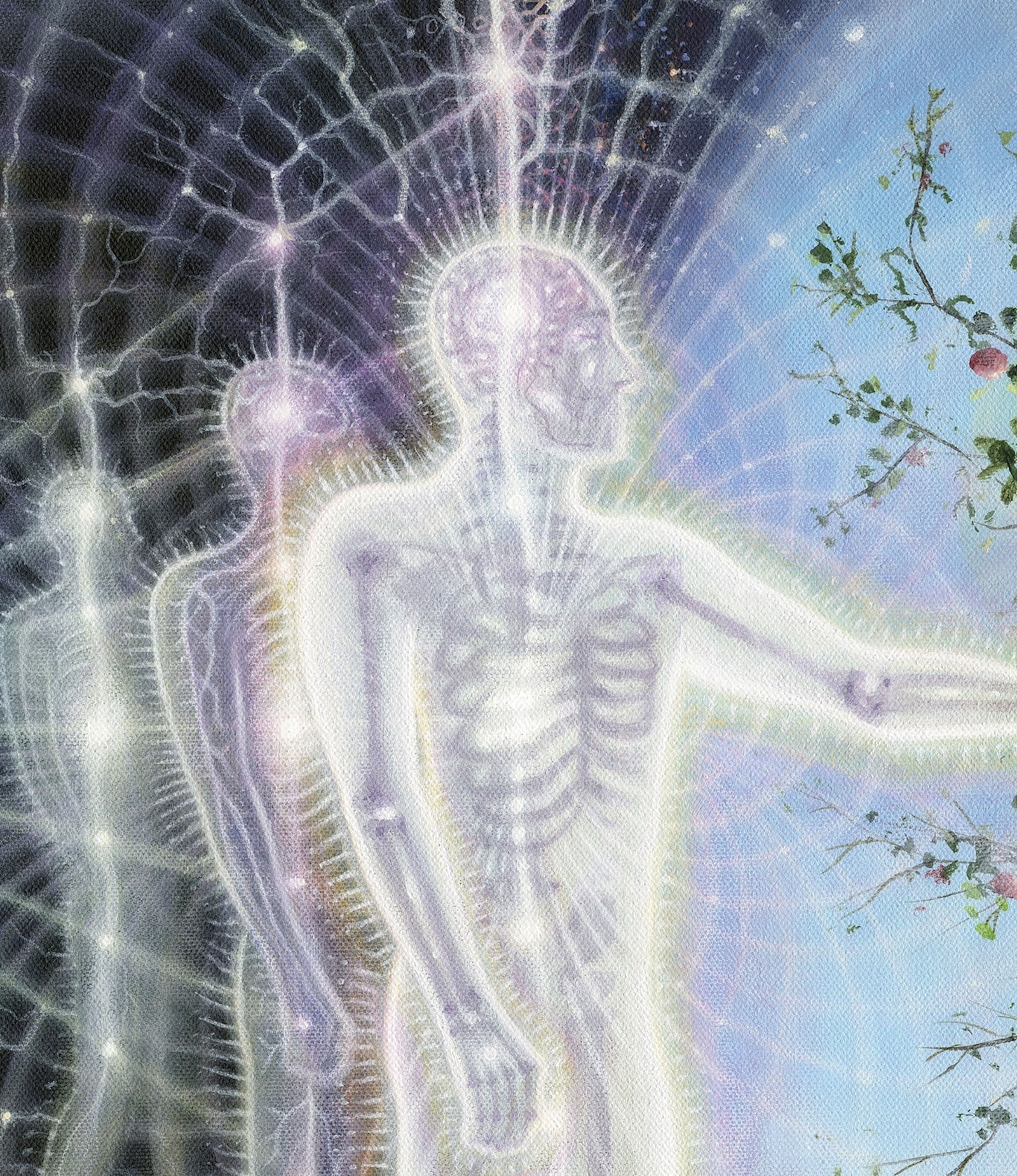 Field of Awareness Canvas by Bradley Snook