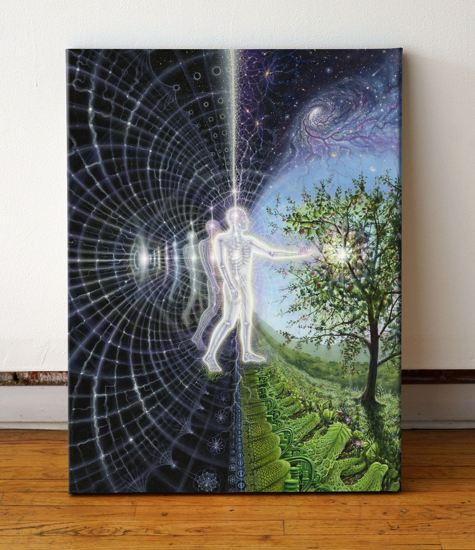 Field of Awareness Canvas by Bradley Snook