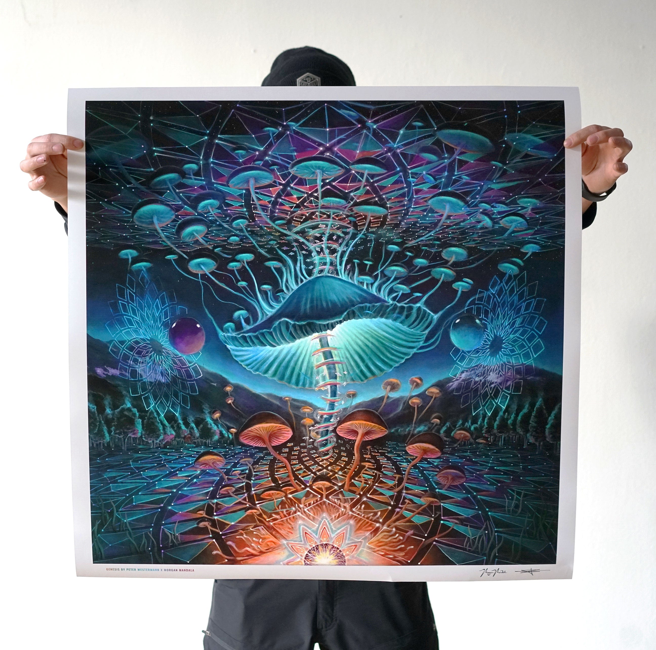 マンダラMANDALAダークアーツ DELTA V TWIN 5.10 カーボン DELTA-V - Mandala Custom Shapes