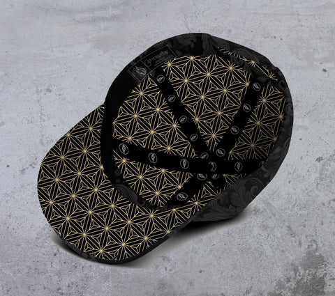 Merit Curved Snapback Hat by Threyda