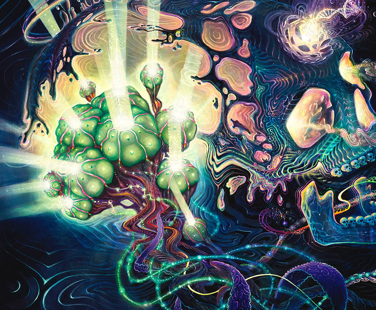 Jettison Medicine Signed Print by Eric Howard, Jonathan Solter and Blake Foster - 72 HOUR AUCTION