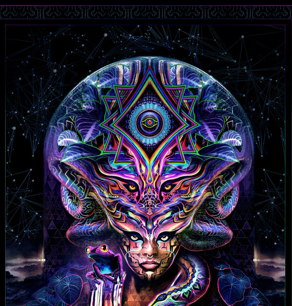 トゥルーアート Icaro Dark Stretched Canvas by Justin Totemical - Threyda Art and