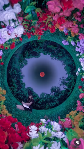 Flowers Grow Where Blood Was Shed Original by POSTWOOK