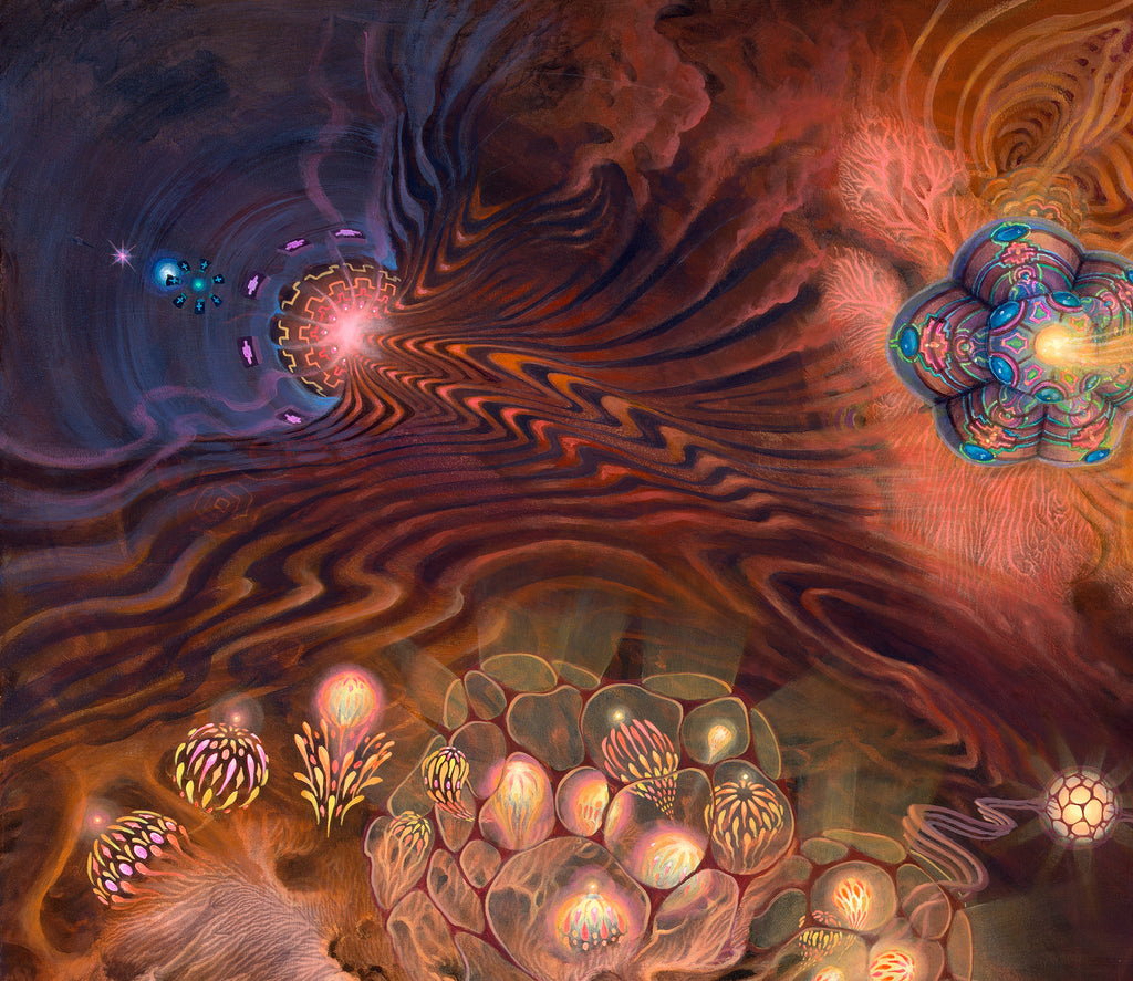 Strange Attractors by Blake Foster x Jonathan Solter