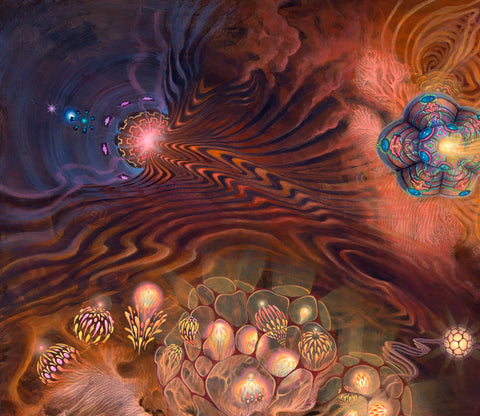 Strange Attractors by Blake Foster x Jonathan Solter