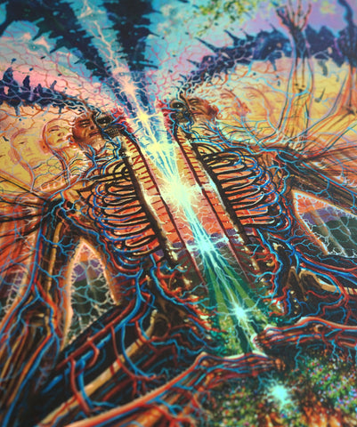 Resonant Fields Holographic Print by Bradley Snook