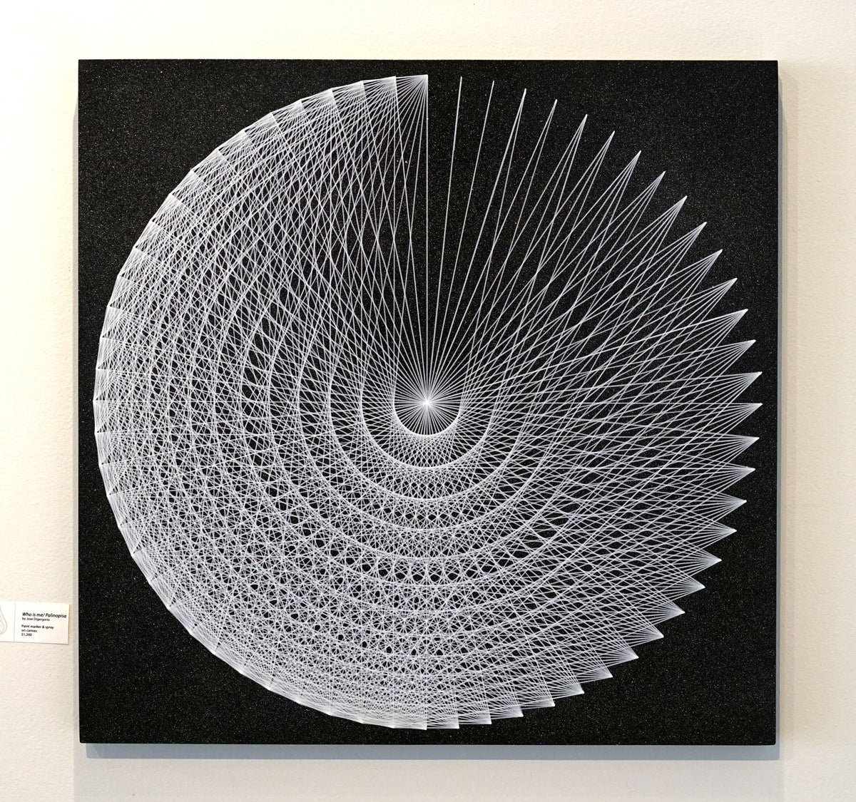 Who is Me/ Palinopisa Original by Jose Digergorio