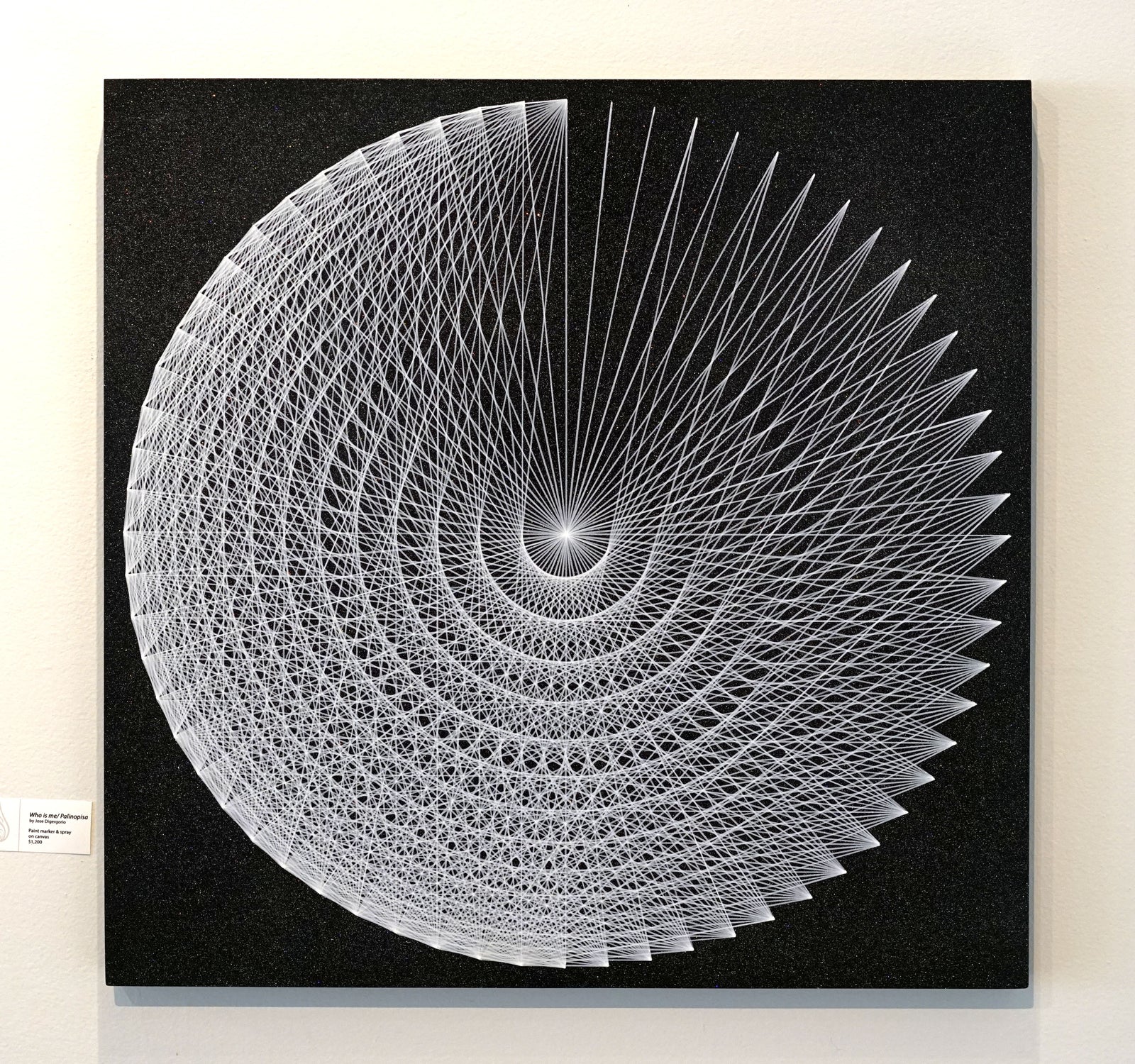 Who is Me/ Palinopisa Original by Jose Digergorio