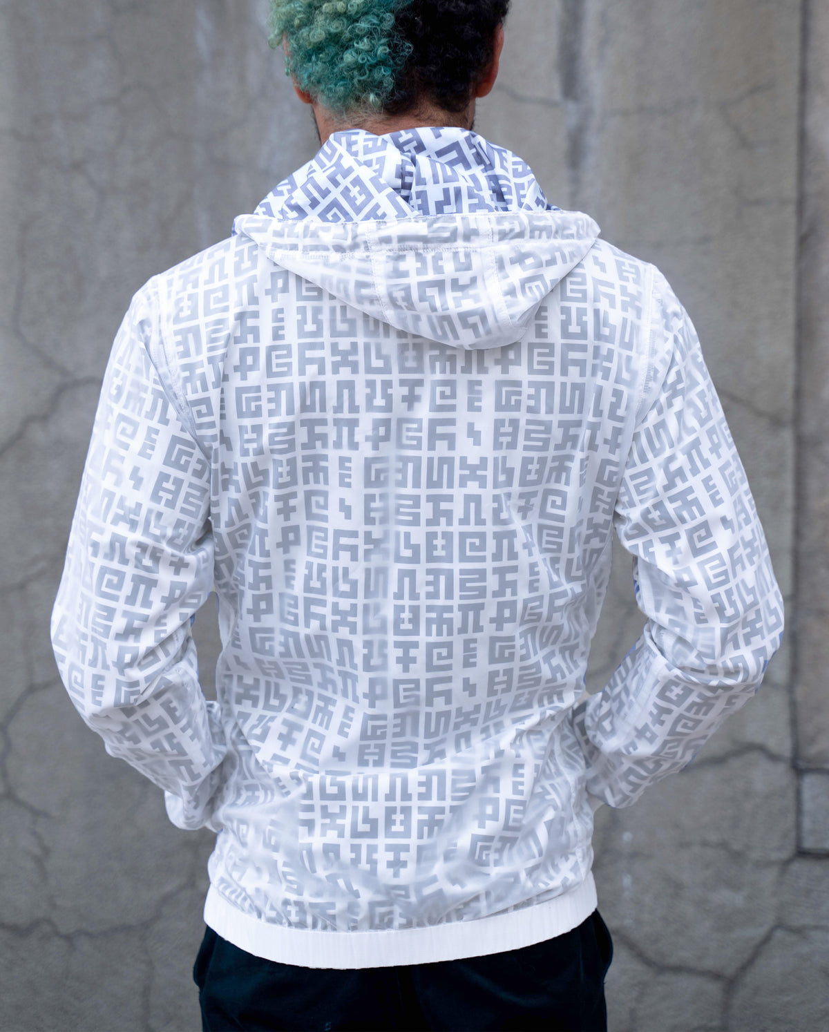 Secret Writing Translucent Windbreaker Hoodie by Allyson Grey