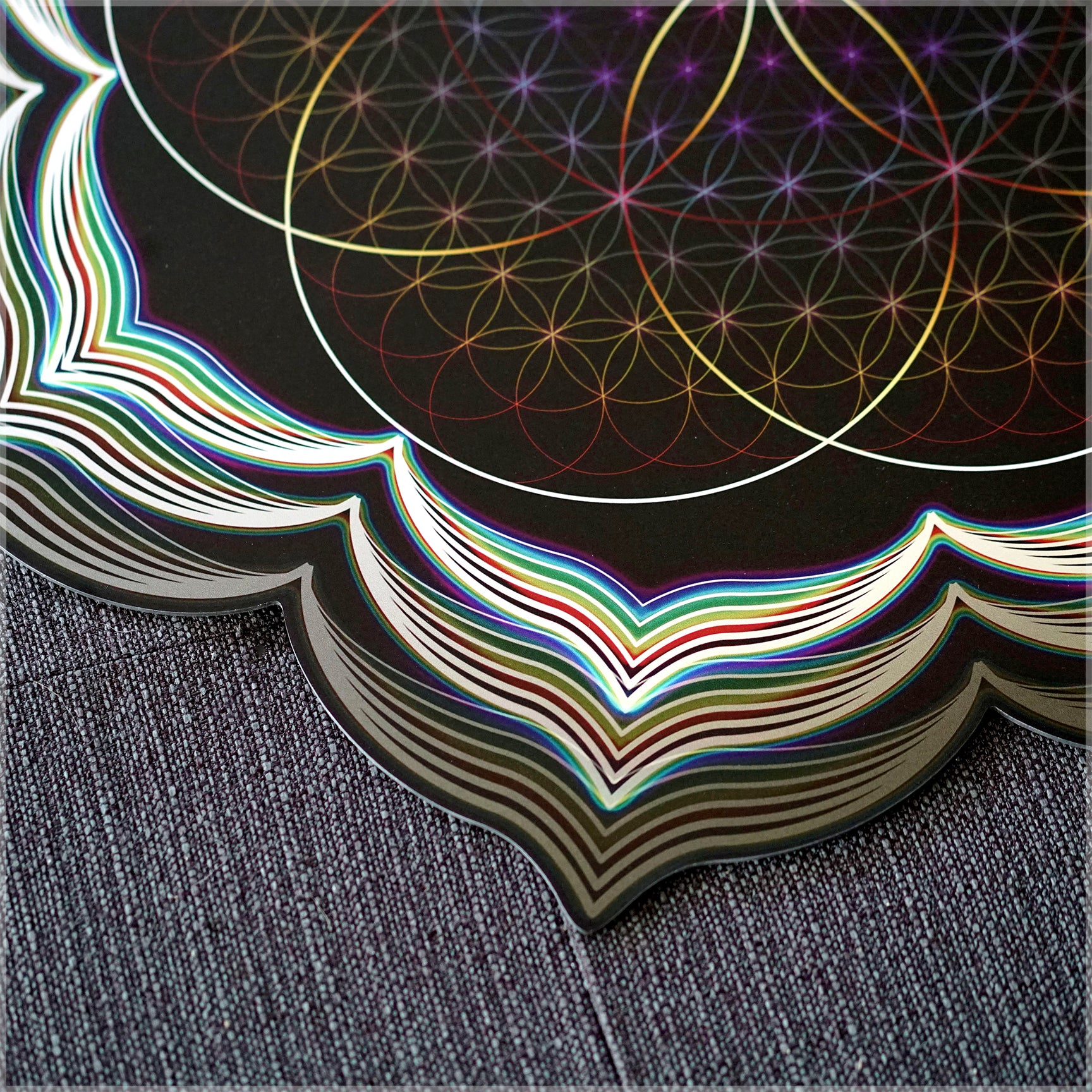 Celestial Bloom Aluminum Diecut Print by Cate Farrand