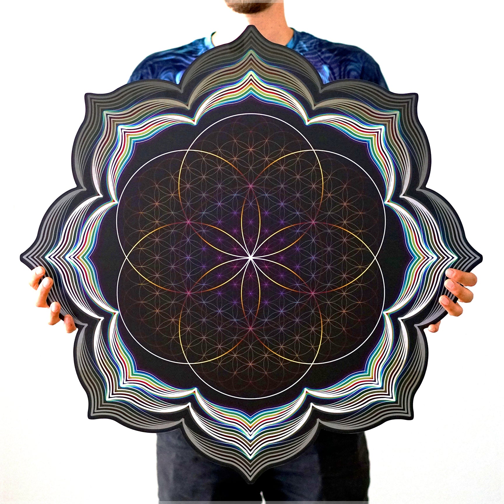 Celestial Bloom Aluminum Diecut Print by Cate Farrand - Threyda