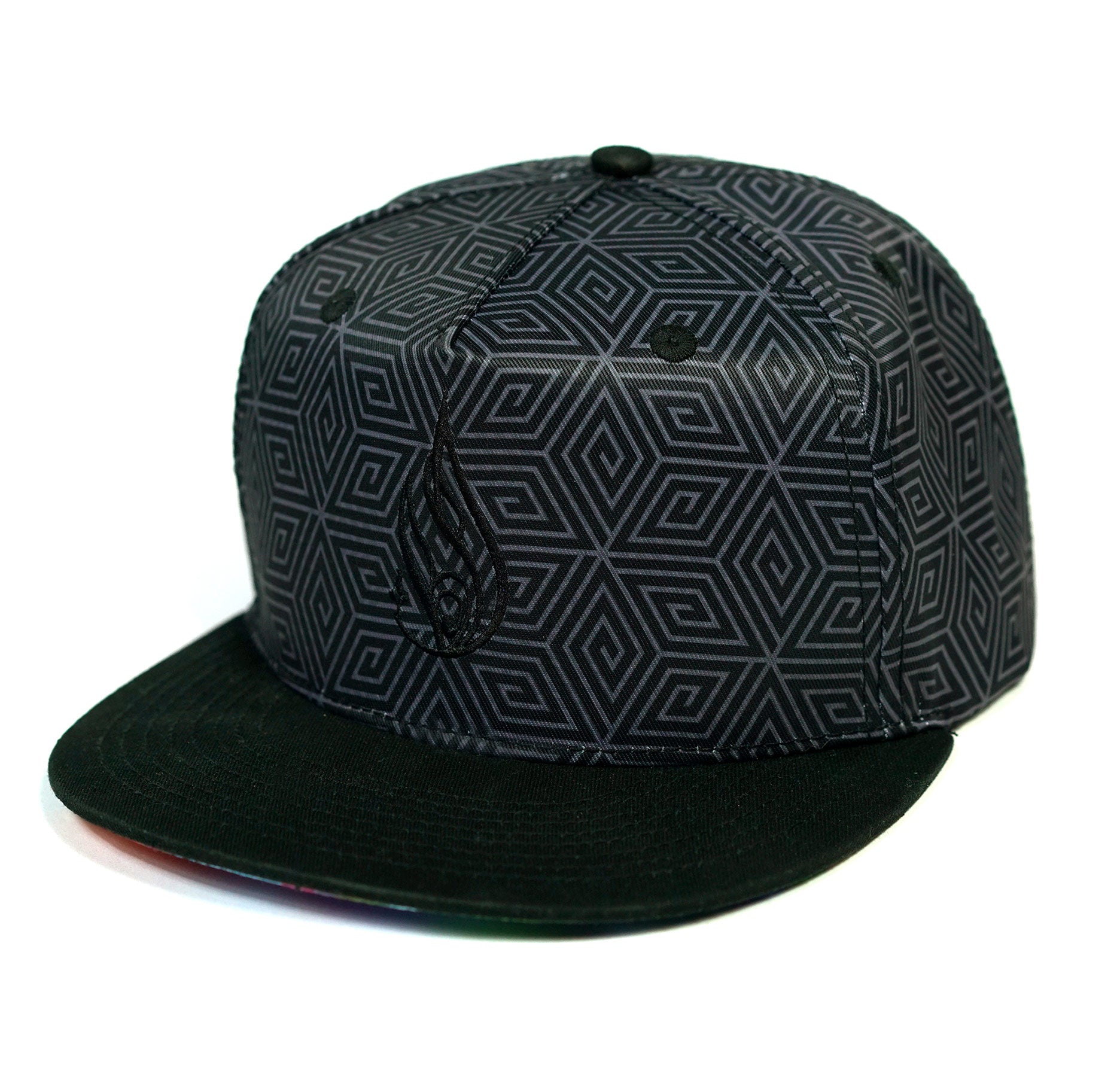 Neurogenesis Snapback Hat by E Howard & Brian Scott Hampton