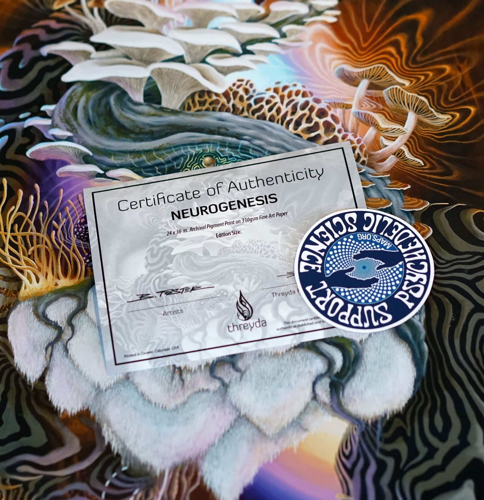 Neurogenesis Signed Print by Blake Foster - One Week Release / MAPS Fundraiser