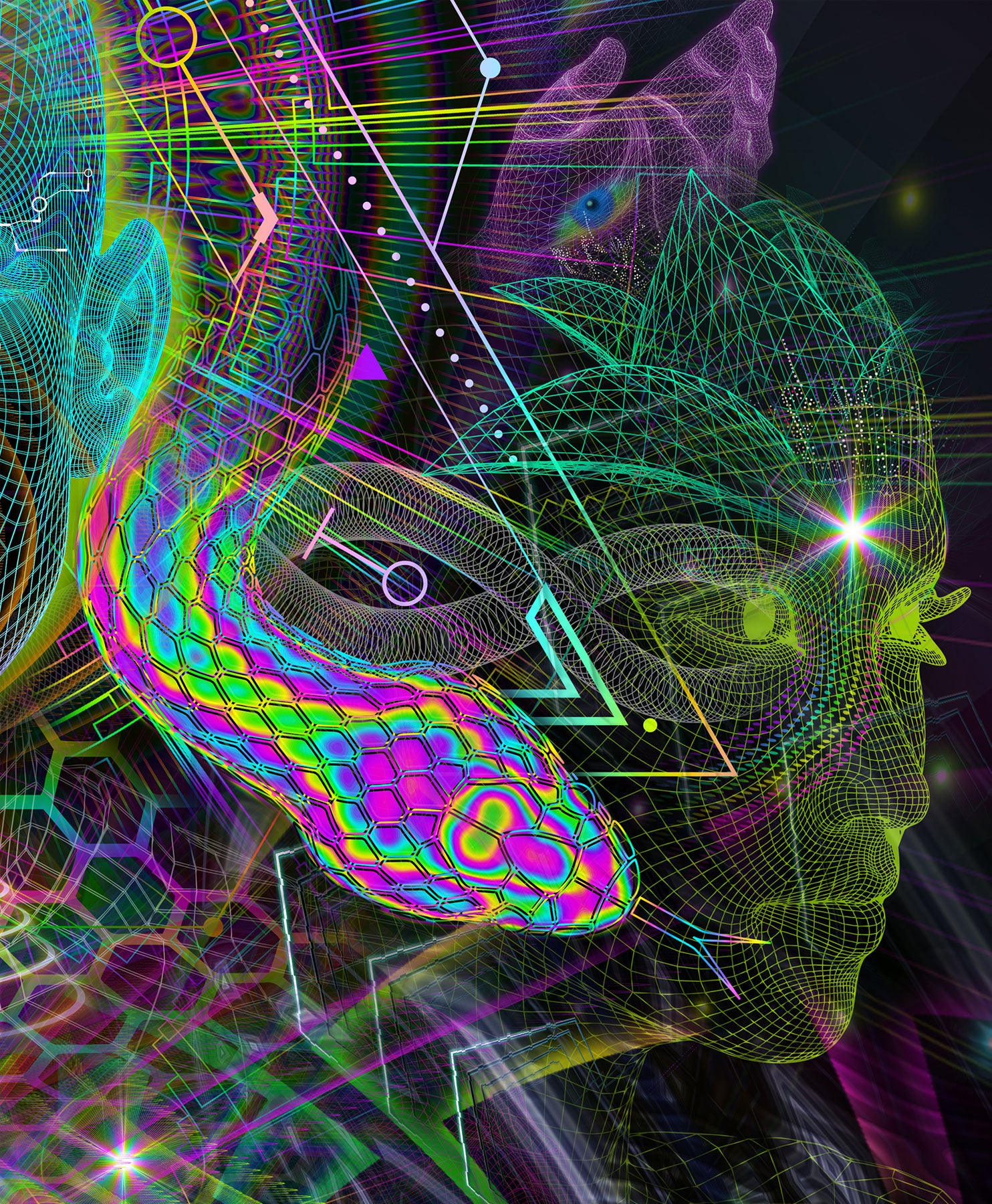 Superliminal by Samuel Farrand - 48 Hour Auction